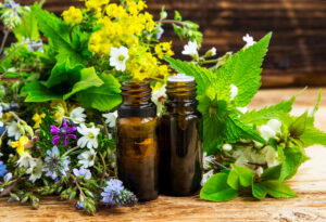 herbalist certification certified herbalist phytotherapy