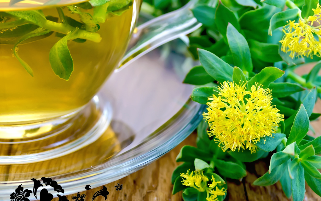 Herbs for Adrenal Fatigue